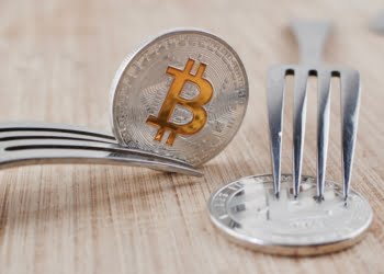 Hard Forks: Bitcoin Cash, Litecoin, Ethereum Classic; ZCL to ANON Fork Soon