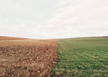 farmland