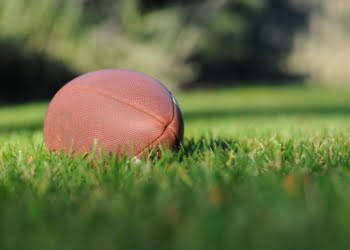 Two New Owners Join the Crypto American Football League