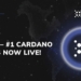 ADAX Cardano