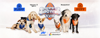 Puppy Bowl Partners Chronicle Exclusive NFT Collection