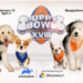 Puppy Bowl Partners Chronicle Exclusive NFT Collection