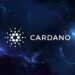 How to stake Cardano