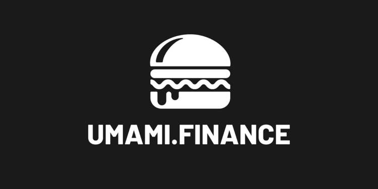 unami finance