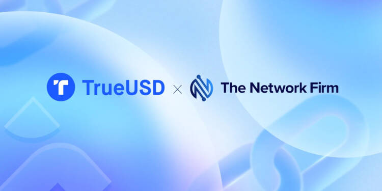 trueusd the network firm