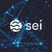 sei network labs