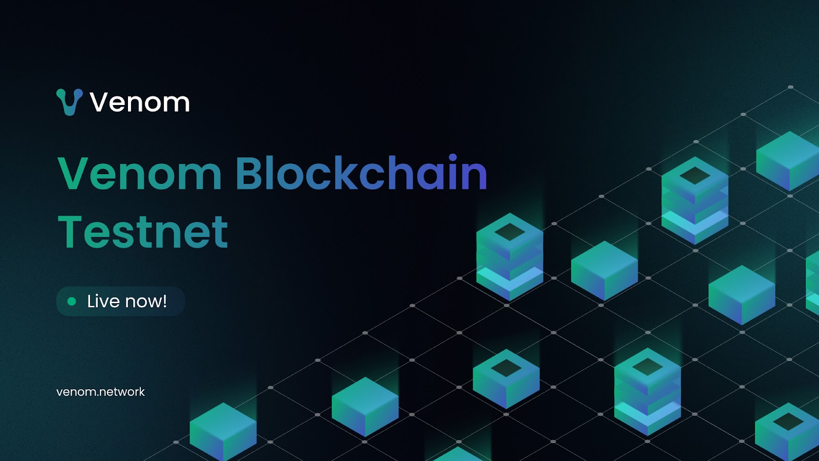 blockchain testnet