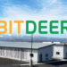 bitdeer