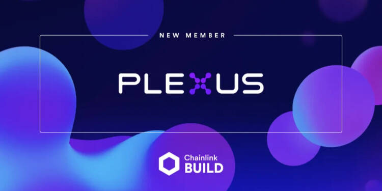 plexus chainlink