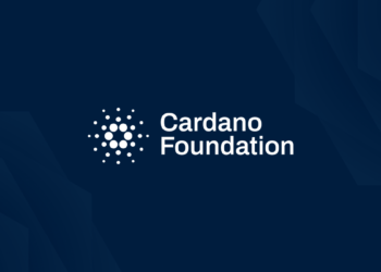 cardano foundation