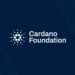 cardano foundation