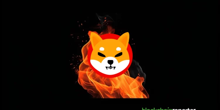 SHIB Burn