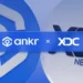 ankr x xdc network