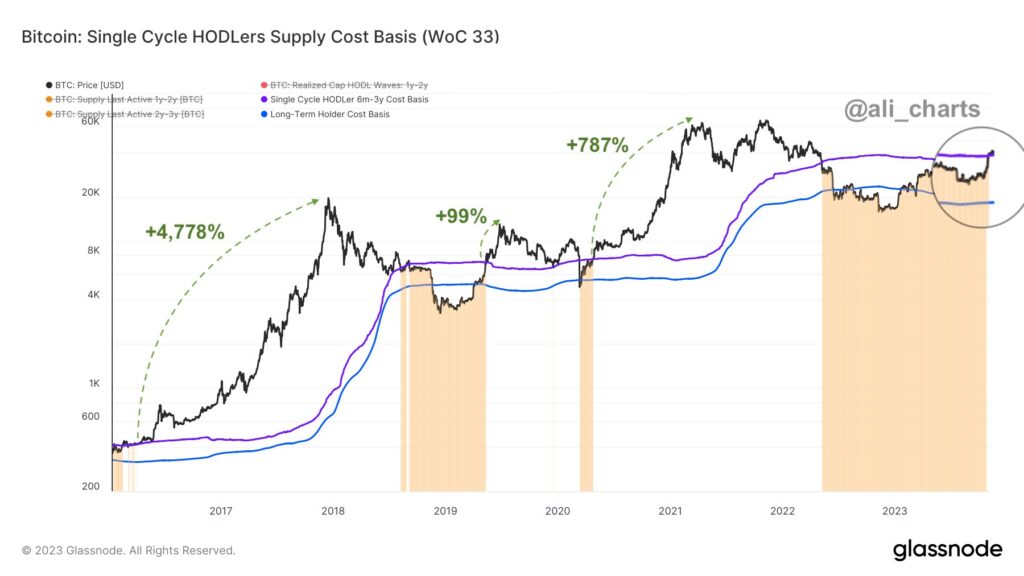 Bitcoin basis 1