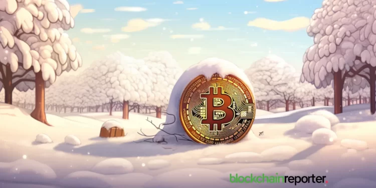 bitcoin-winter