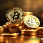 Bitcoin Just Saw its Biggest Retracement: Analyst