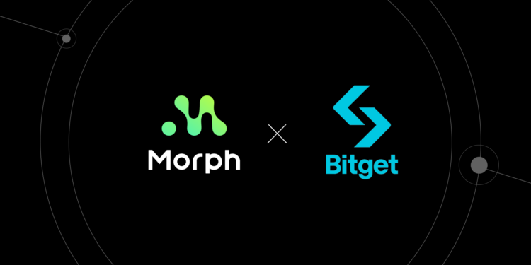 morph x bitget