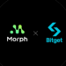 morph x bitget