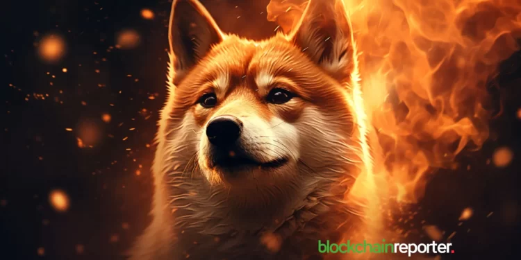 shiba-inu-shib-burn