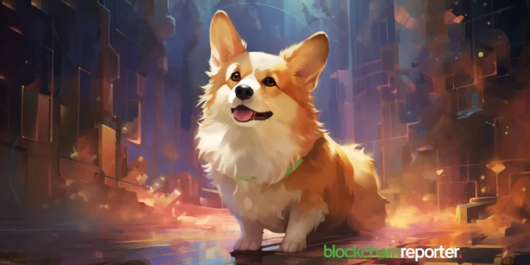 corgi