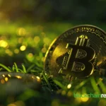 bitcoin-grass