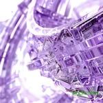 dollar-digital-purple