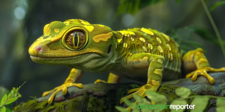 gecko