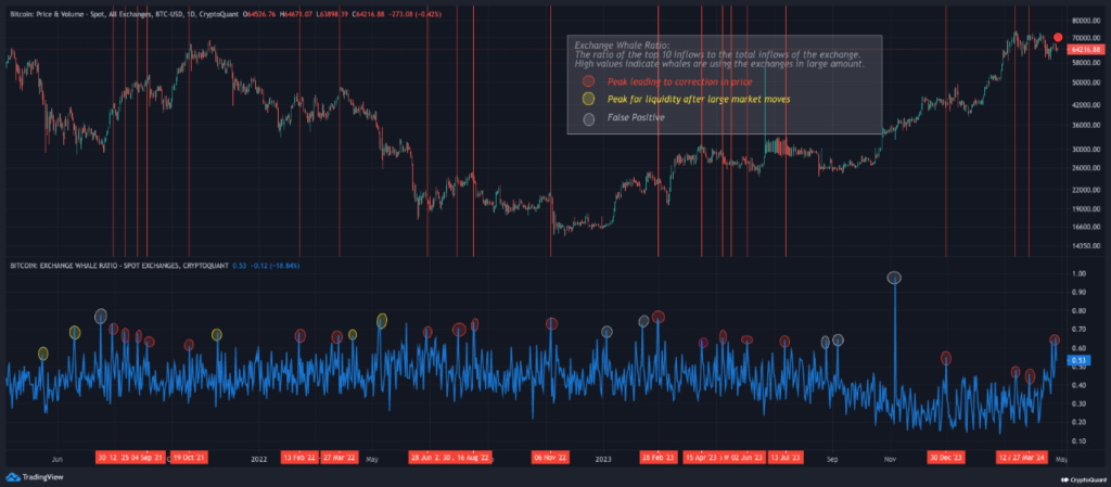 Bitcoin Whale Activity Spikes: A Signal to Market Watchers