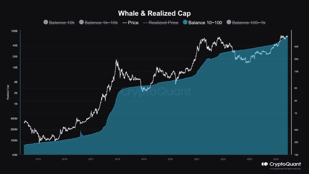 CryptoQuantBullMarket