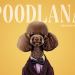 PoodlanaContentMediaBankSmallLogo