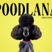 PoodlanaContentMediaBankSmallLogo