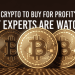 Best Cryptocurrencies to Invest in 2024, Top Cryptos for 2024, Cryptos Ready for the Next Bull Run, High-Potential Coins 2024, Best Coins for Bull Market, Top Cryptos for Investment,