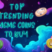 Best new meme coins to buy, Top meme coins for maximum earnings, Best meme coins to invest in 2024, Trending meme coins with high potential, Meme coins to buy for huge returns,