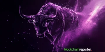 bullpurpledark