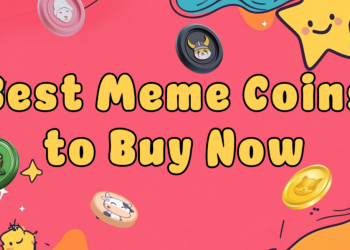 Meme Coin Presales, December 2024, BIG50 Bonus, Exclusive Gains, Invest Now