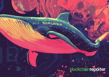 solanawhale