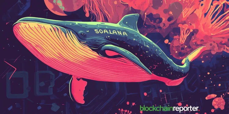 solanawhale