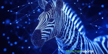 webzebraa