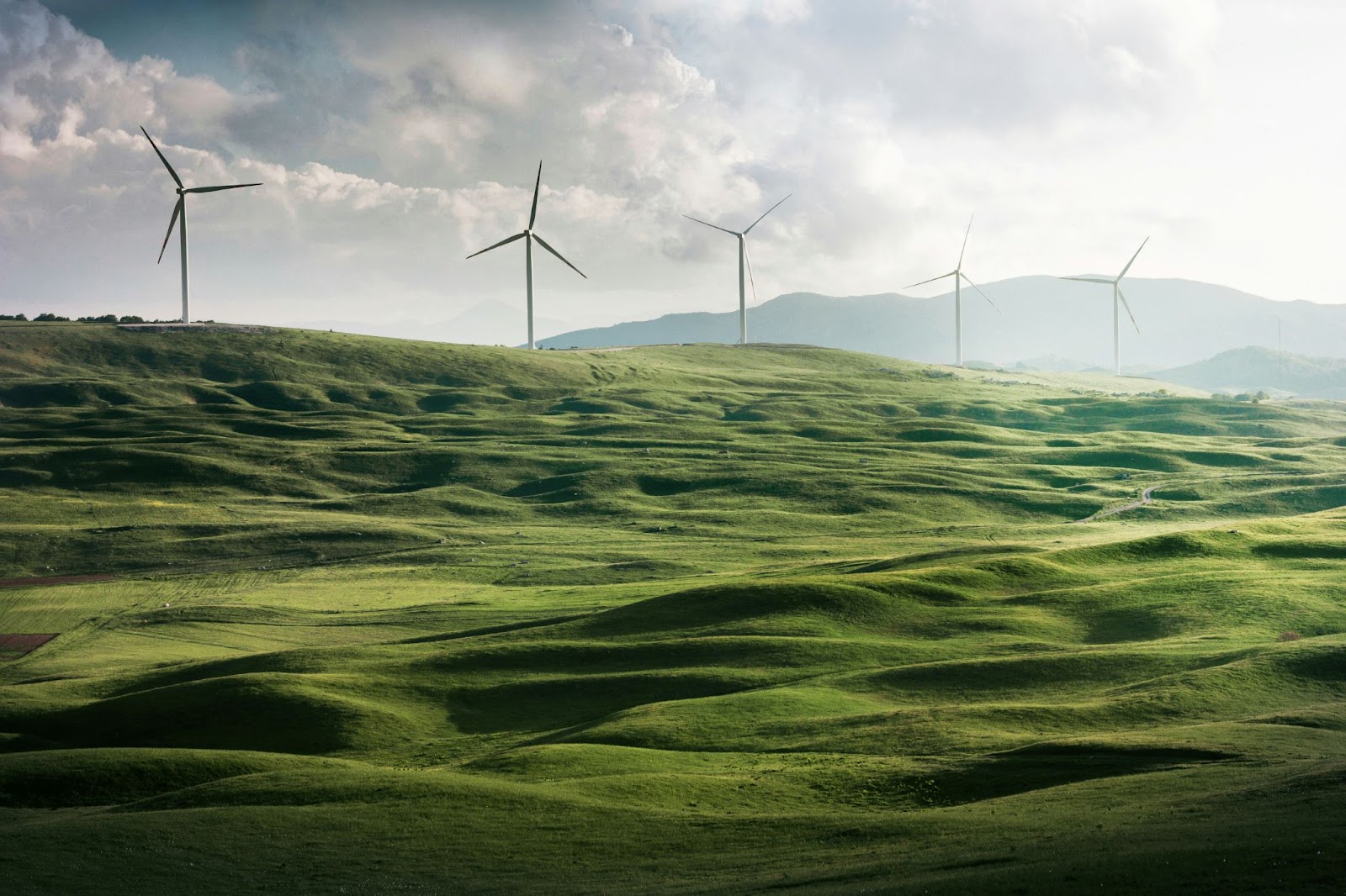Join the Green Movement. How Fedrok AG's Blockchain Rewards Sustainable Practices 1 AD 4nXf2JGkSFA4I82 cdWSJgrprUS11X8So VWgDfkjaazcZR eTDeGm3VJebytWet ZYHNgaKdImwPAEg