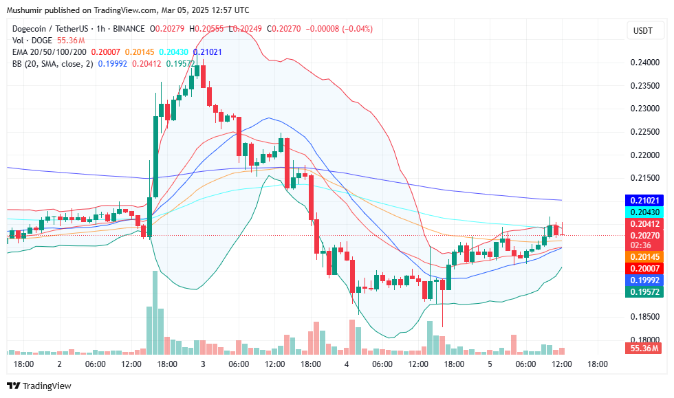 Dogecoin (DOGE) Price Prediction for March 5 1 AD 4nXf3gpG2d60dyv6glO Js6cKVfMpoXfV7