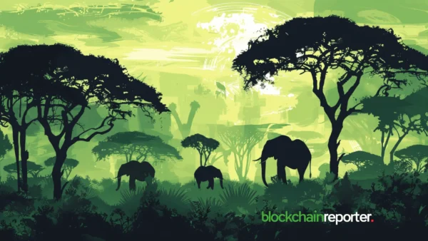 FTX Partners AZA Finance For Adoption Of Crypto And Web3 In Africa