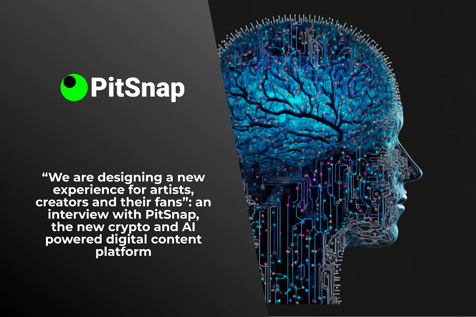 “We are designing a new experience for artists, creators, and their fans”: an interview with PitSnap, the new crypto and AI-powered digital content platform