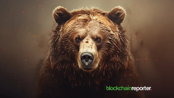 How Margin Misuse Triggers Liquidations in Bear Markets