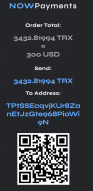 Crypto Point-Of-Sale Terminal by NOWPayments 1 ds 1