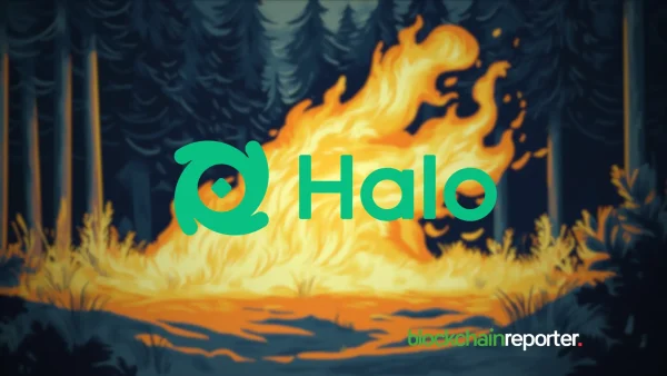 Halo Burns 25% of Initial $HLO Supply, Boosting the Token Value