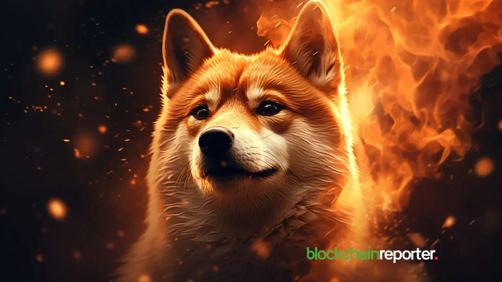 Shiba Inu Burn Tracker: How Much SHIB Has Been Burned and Where to Check
