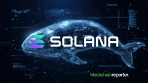 Solana Reclaims $141 Support as Whale Moves Spark Market Momentum