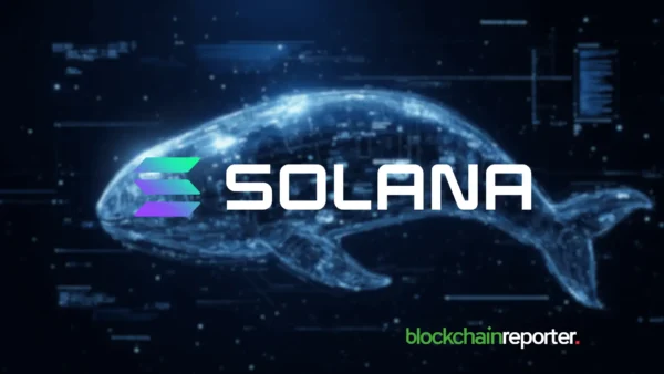Solana Reclaims $141 Support as Whale Moves Spark Market Momentum