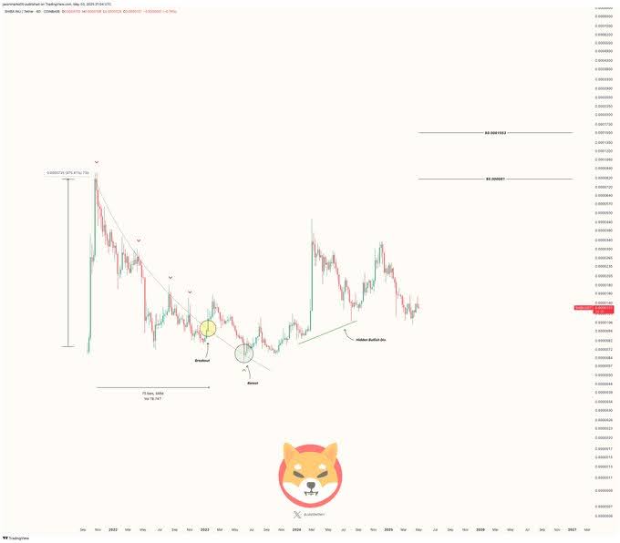 Expert Strategist Says These Are The Top 5 Cryptos To Hold For Short And Long-Term Gains 5 shib chart