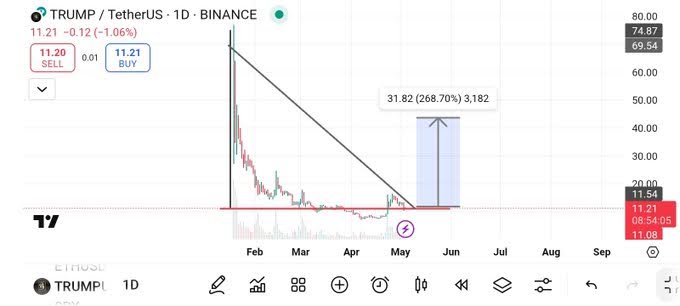 Expert Strategist Says These Are The Top 5 Cryptos To Hold For Short And Long-Term Gains 3 trump chart